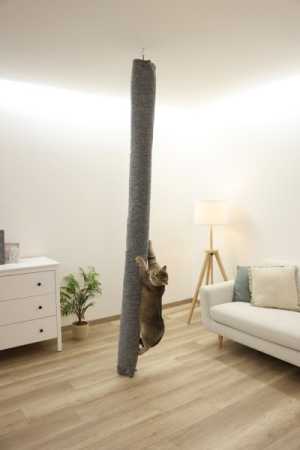 Kerbl Klettersack Katzen Carpet - ideale Alternative zu Kratzbaum deckenhoch, Aufstiegshilfe, Bezug waschbar